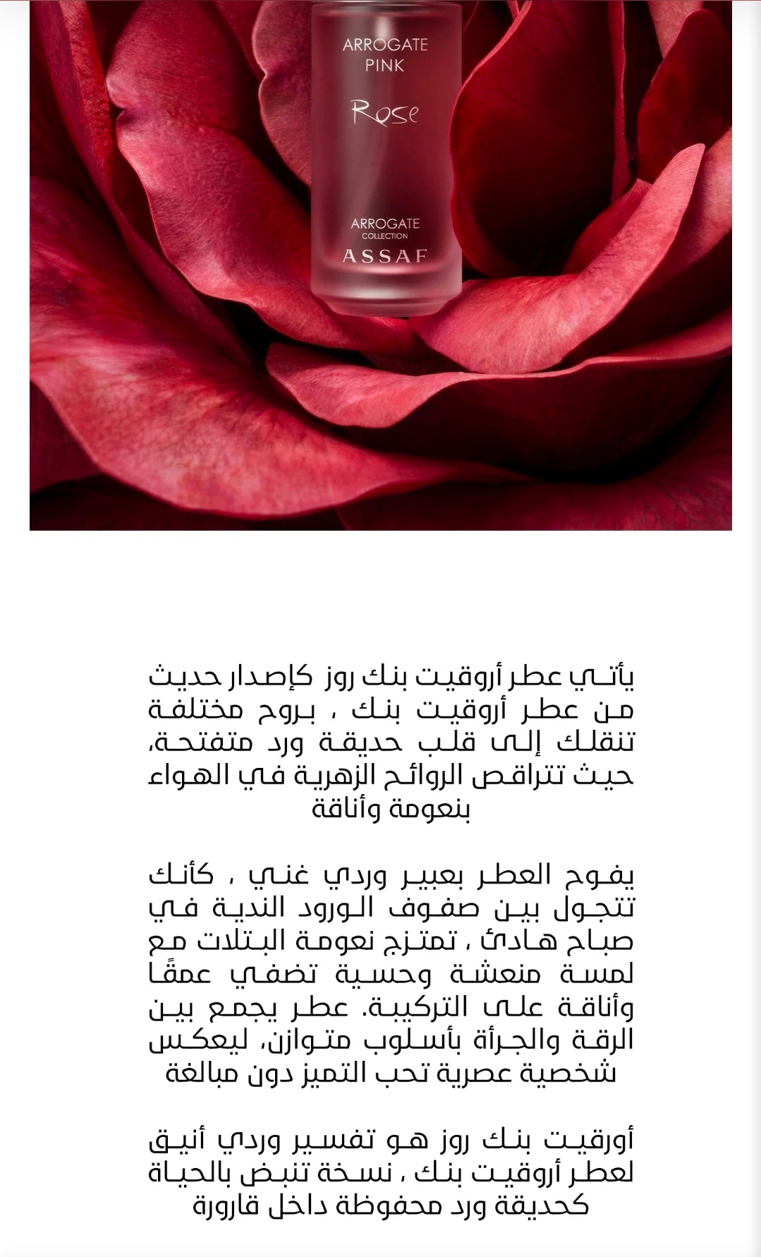 Assaf - ARROGATE PINK ROSE