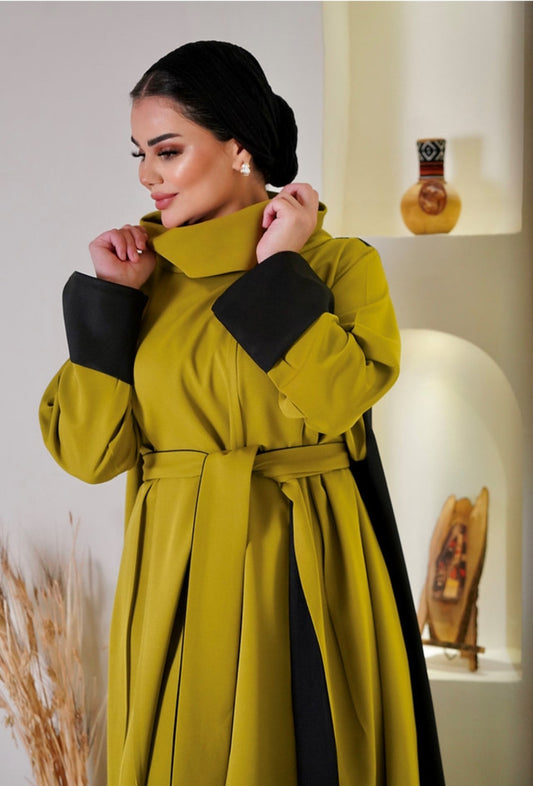 Lebsaty Balck & cumin colour Suit